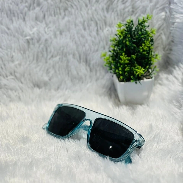 Sunglass