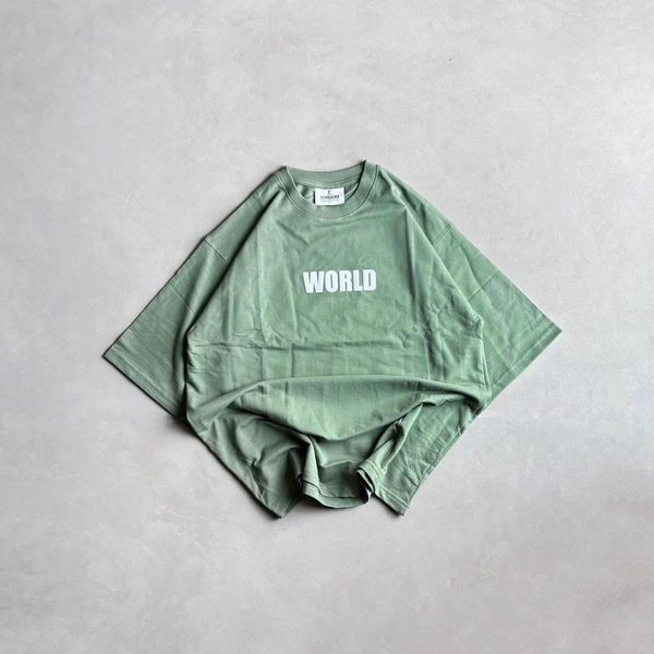 Oversized Printed Tshirt (L)