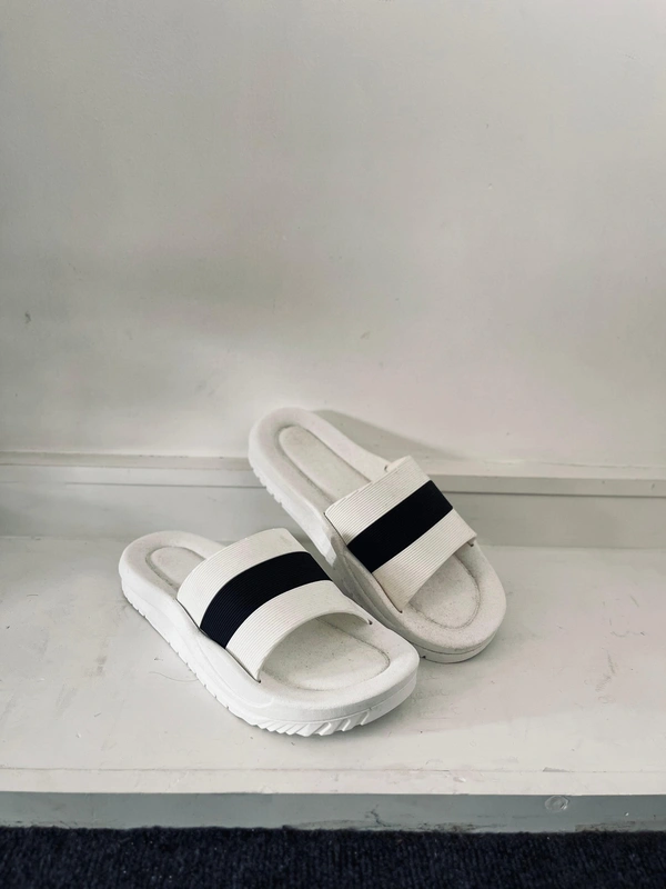 Imported Slides (6,7,8,9)