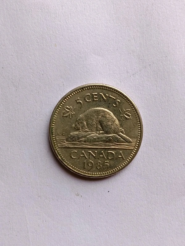 1985 Canada 5 Cents Coin 
