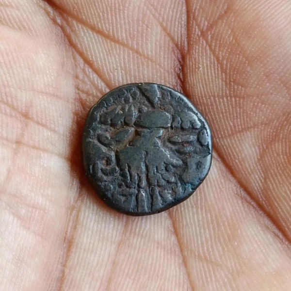 Kashmir Didda Rani Stater Coin (979 - 1003)