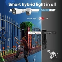Hikvision Hybrid IP Camaras 2mp Dome ( Colourview)