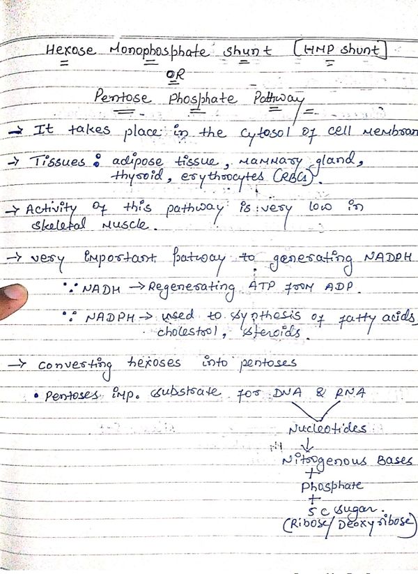 Biochemistry 2nd Semester Notes B Pharmacy  - White