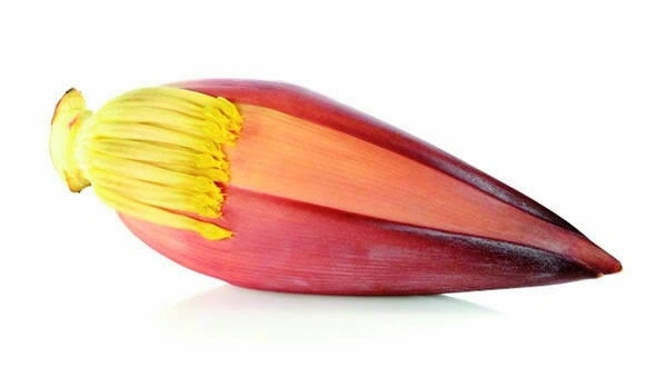 Plantain flower (কলার মোচা) - Per Piece