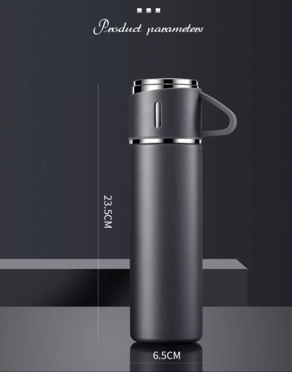 Vacuum flask bottle set Mix 500ml