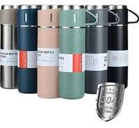 Vacuum flask bottle set Mix 500ml
