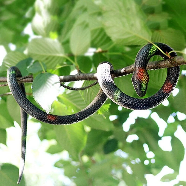 Rubber Snake Toy for Kids 28 inches Long Prank Toy