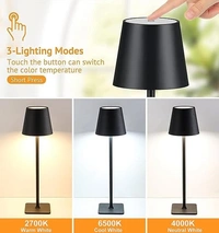 Portable Led Table Lamp