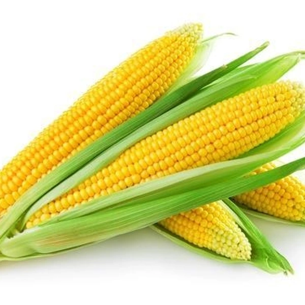 Sweet Corn/ ಜೋಳ - 2pc