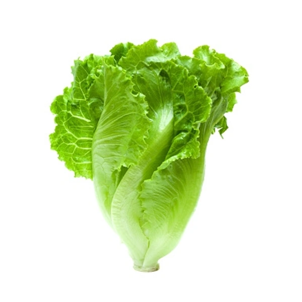 Lettuce/ ಲೀಟಸ್ - 250-350gm