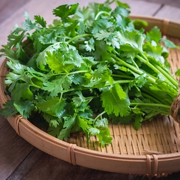Coriander Leaves (Big)