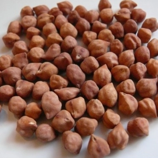 Brown Channa / ಕಡ್ಲೆ ಕಾಳು 