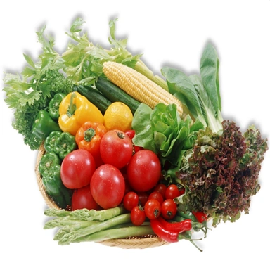 Fresh Vegetables