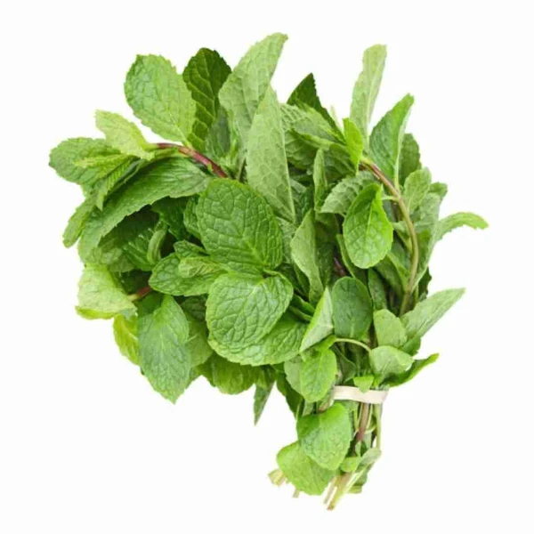 Local Peppermint Leave - 50gm