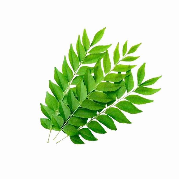 Curry Leaf - 50gm