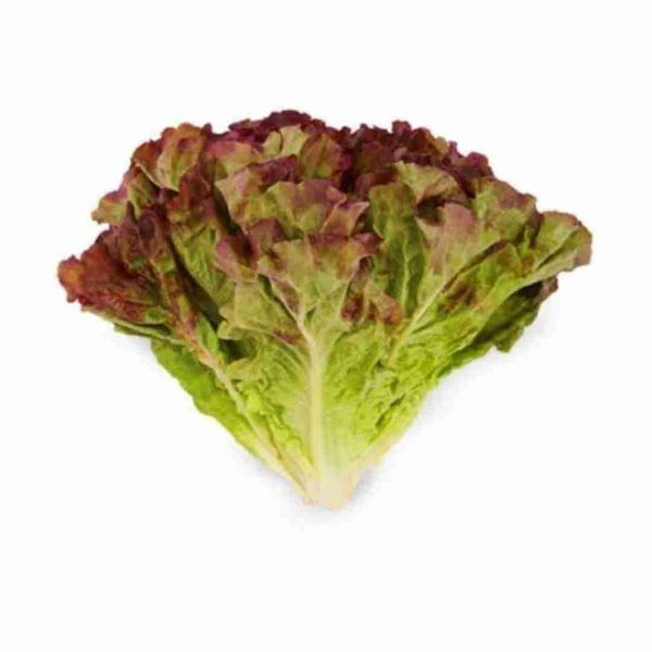 Red Leafy Lettuce - 250gm