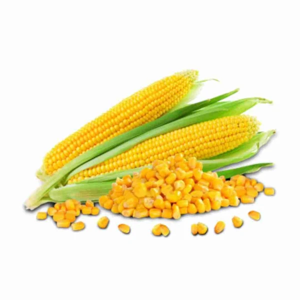 Sweetcorn - 3 pcs