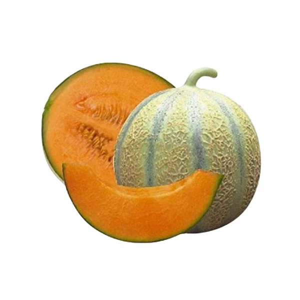 Hybrid Muskmelon/Kharbuja - Economy - 500gm