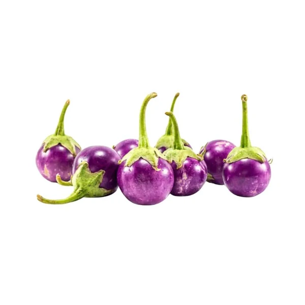 Local Purple Round Brinjal/Baingan - Small - 500gm