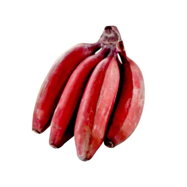 Red Banana - Economy - 06 Pcs