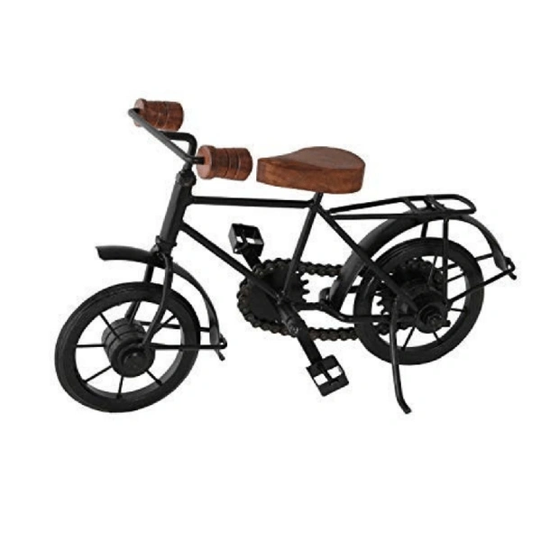 Iron Cycle