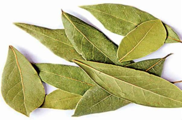 Tejpan - 50g