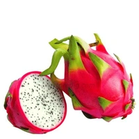 Dragon Fruit - 500g