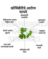 Kothimbir|Dhaniya - 1 Judi