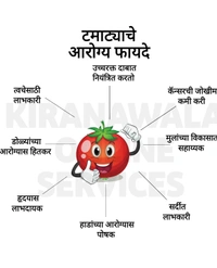 Tomato| टोमॅटो - 1kg