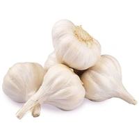 Lasun - 500g