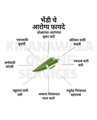 Bhendi