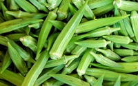 Bhendi
