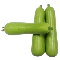 Dudhi Bhopla - 1kg