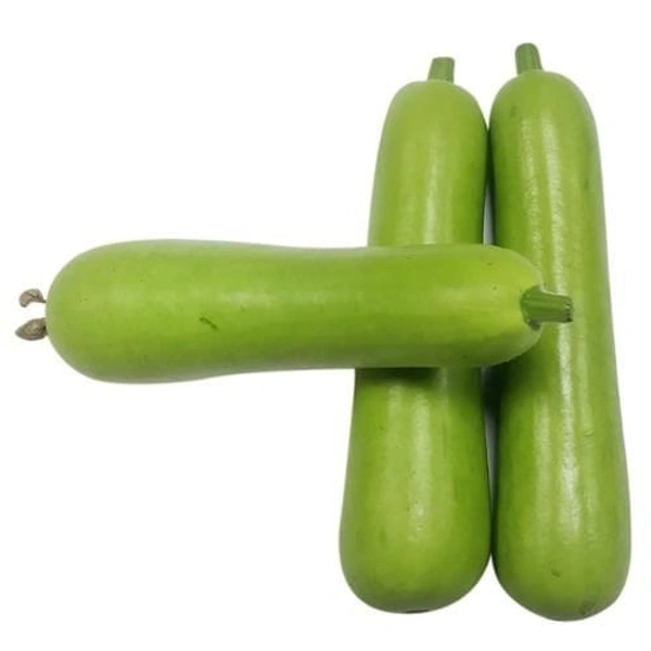 Dudhi Bhopla - 1kg