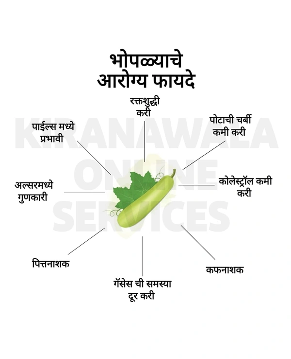 Dudhi Bhopla - 1kg