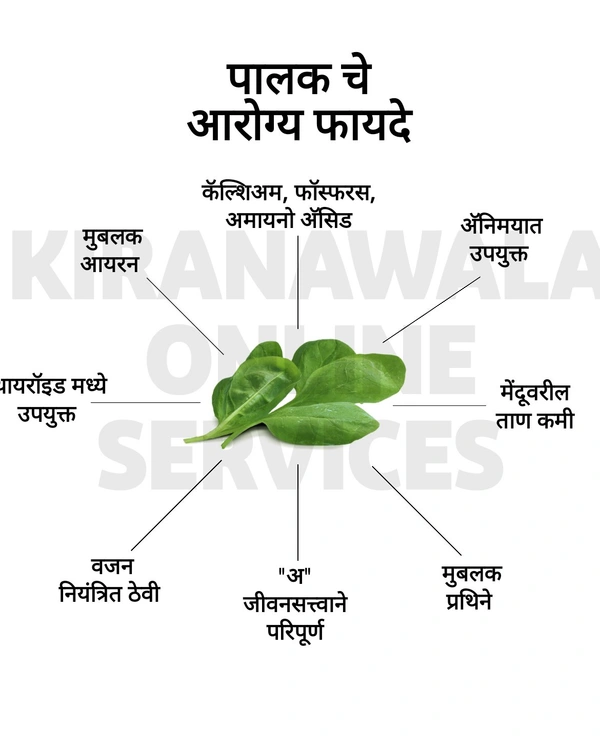 Shopa Palak - 250g