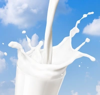 Amul Gold Milk  - 500ml