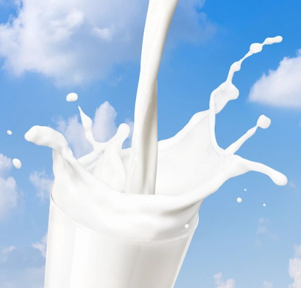 Amul Gold Milk  - 500ml