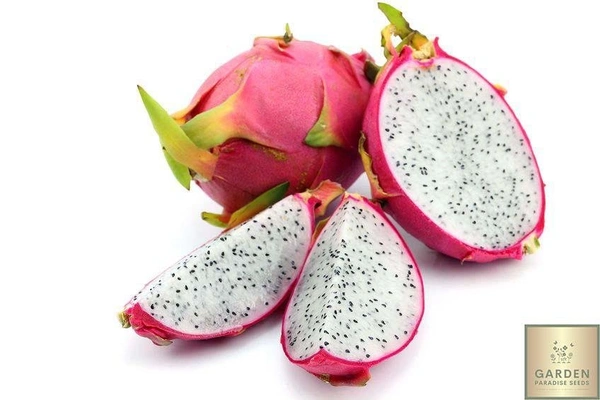Dragon Fruit - 500g