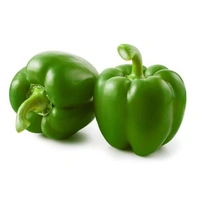 Shimla Mirchi | Capsicum - 1kg