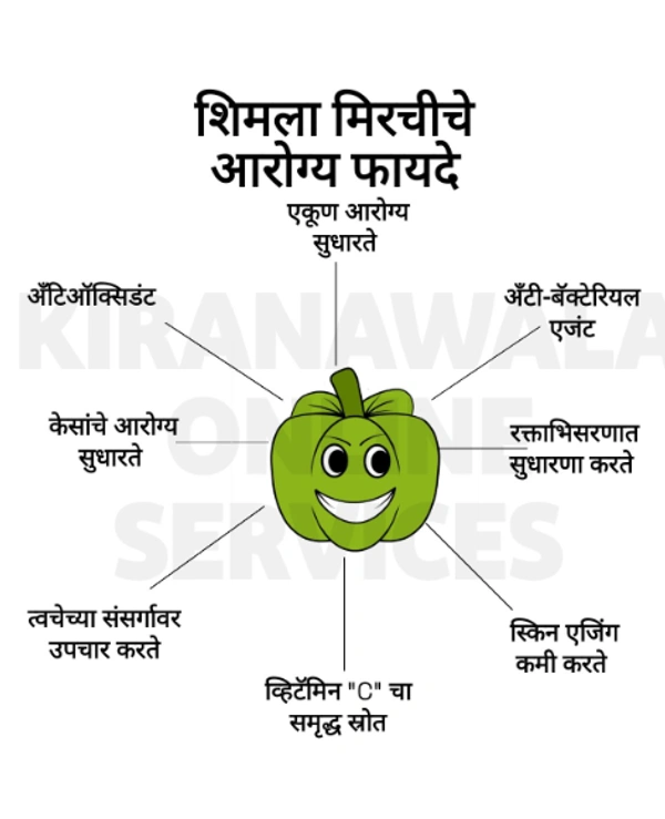 Shimla Mirchi | Capsicum - 1kg