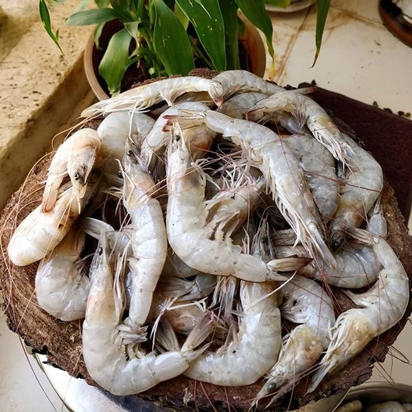 Kolambi - 1kg