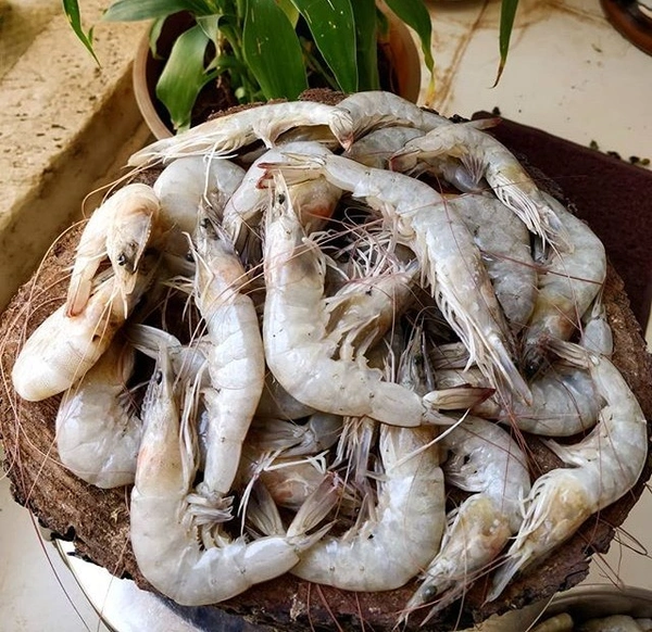 Kolambi - 500g