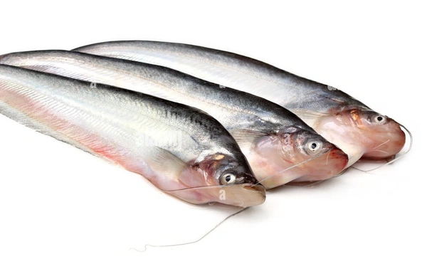 Papdha Fish - 1kg