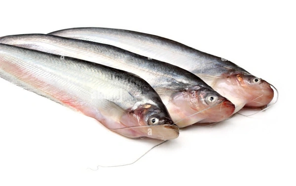 Papdha Fish - 500g