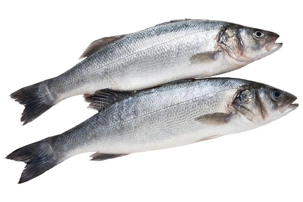 Silver Fish - 250g