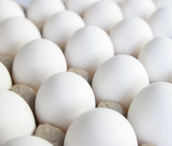 Reguler Egg's - 6 Unit