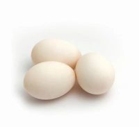 Desi Egg's - 6 Unit