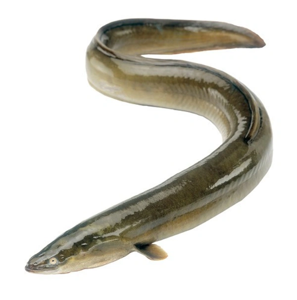Vaam Fish - 500g