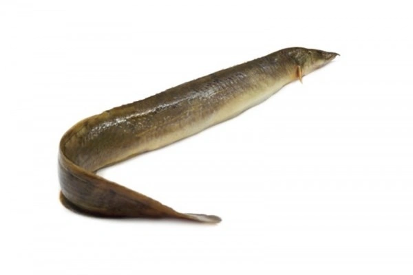 Vaam Fish - 500g